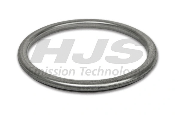 Seal Ring, exhaust pipe (83 43 7828)