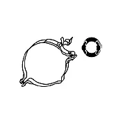 Bracket, muffler (82 12 2811)