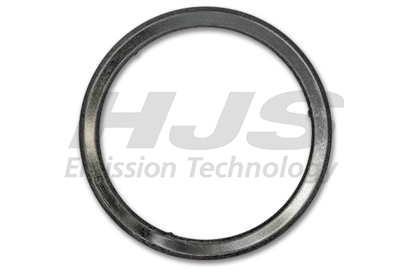 Gasket, exhaust pipe (83 21 7004)