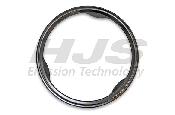 Gasket, exhaust pipe (83 14 3255)
