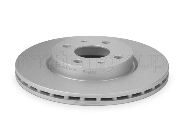 Brake Disc (23-0231C)