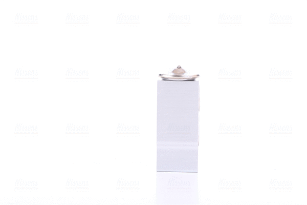 Expansion Valve, air conditioning (999297)