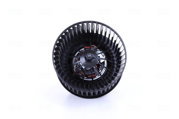 Interior Blower (87489)