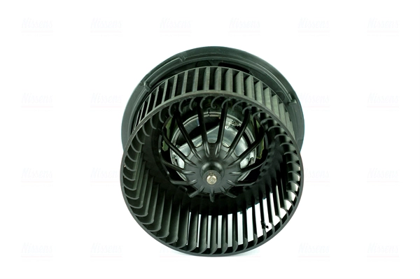 Interior Blower