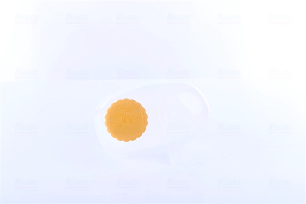 Expansion Tank, coolant