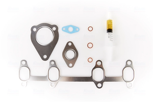 Charger, charging (supercharged/turbocharged)