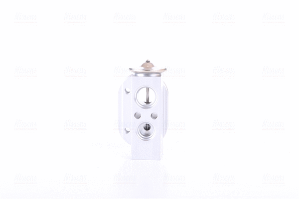 Expansion Valve, air conditioning (999229)