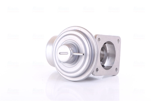 EGR Valve (98363)