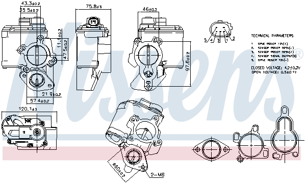 EGR Valve