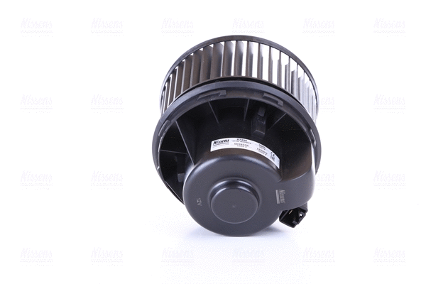 Interior Blower