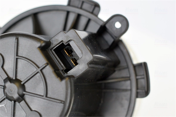 Interior Blower
