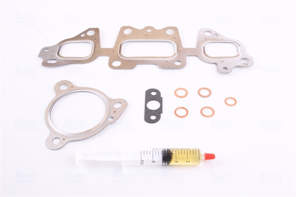 Charger, charging (supercharged/turbocharged)