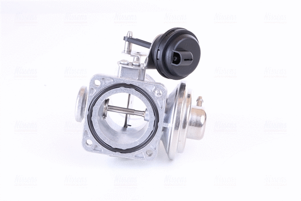 EGR Valve (98304)