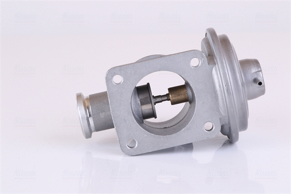 EGR Valve (98353)