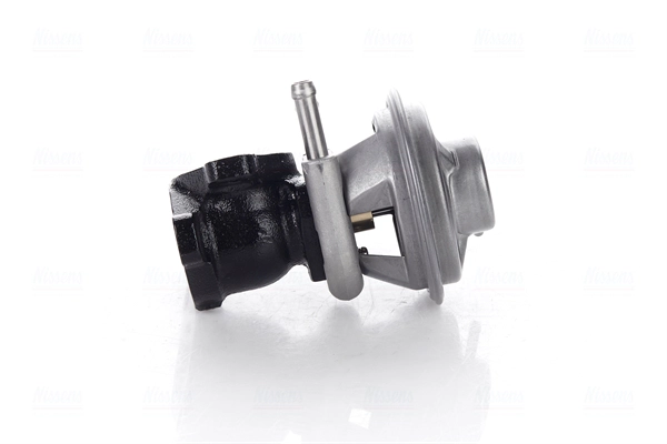 EGR Valve (98226)