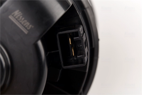 Interior Blower