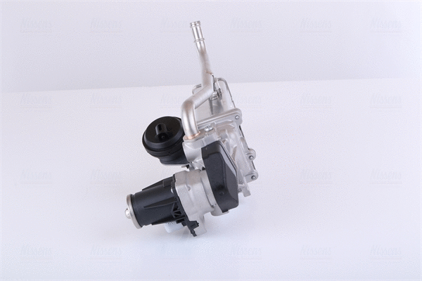 EGR Module
