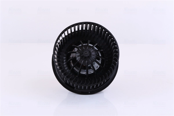 Interior Blower (87245)