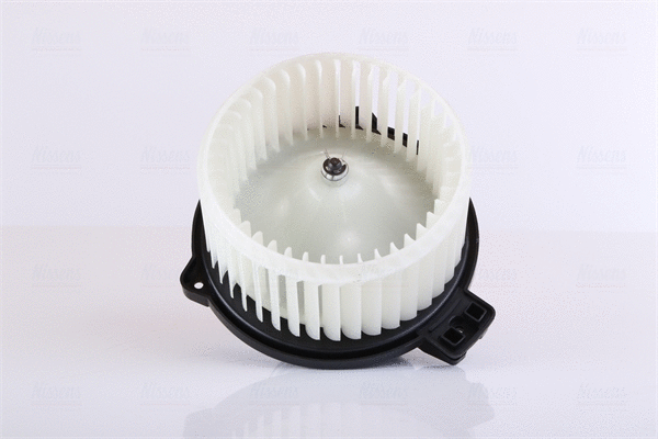 Interior Blower (87821)