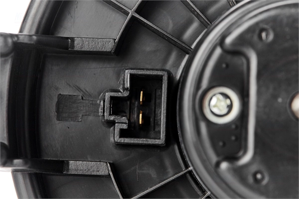 Interior Blower