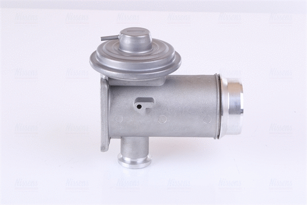 EGR Valve (98352)