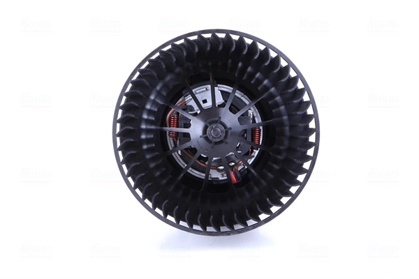 Interior Blower (87491)