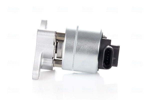 EGR Valve (98206)