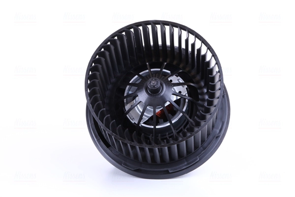 Interior Blower (87166)
