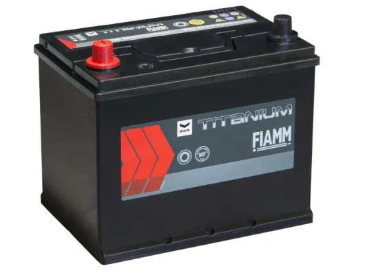 Starter Battery