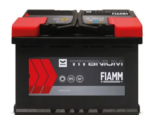 Starter Battery