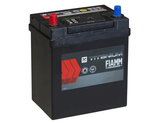 Starter Battery