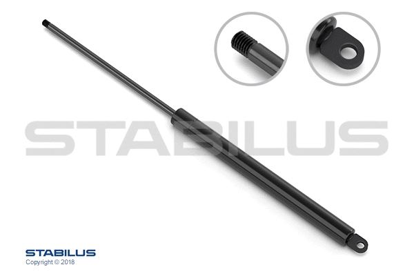 Gas Spring, boot/cargo area (7288GH)