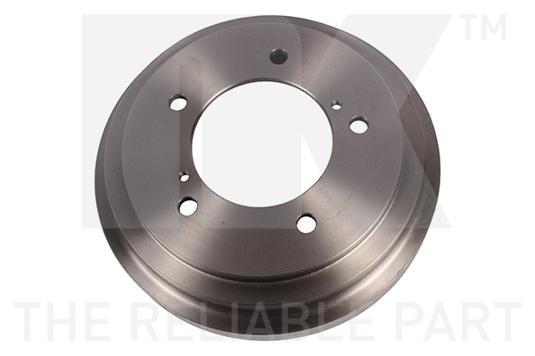 Brake Drum (255213)