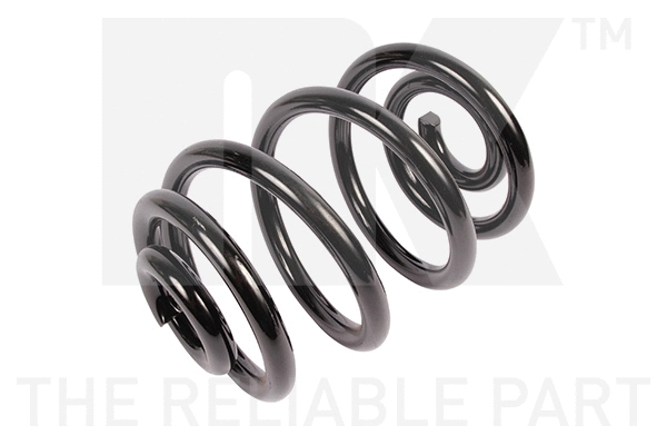 Suspension Spring (541551)