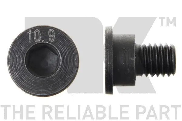 Bolt, brake disc (89011662)