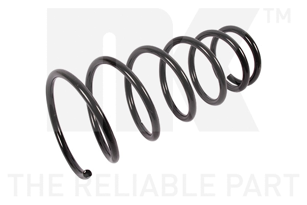 Suspension Spring (542341)