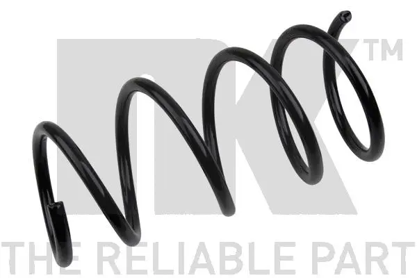 Suspension Spring (543905)