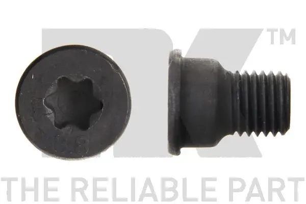 Bolt, brake disc (89011664)