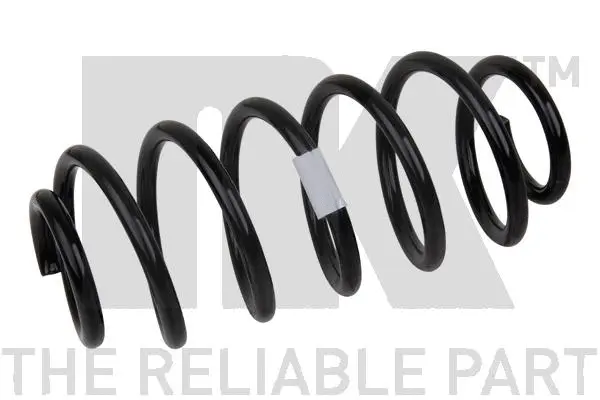 Suspension Spring (544557)