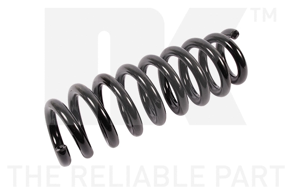 Suspension Spring (541565)