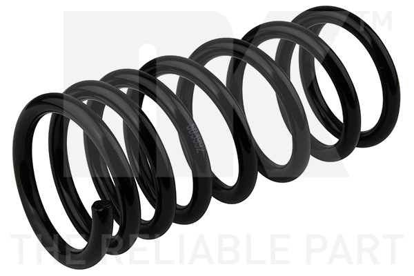 Suspension Spring (542510)