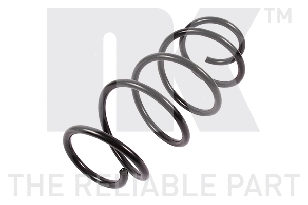 Suspension Spring (531580)