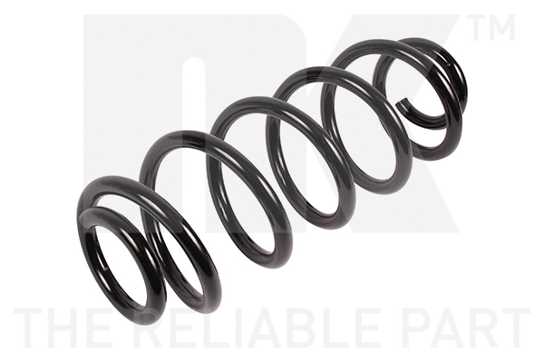 Suspension Spring (541934)
