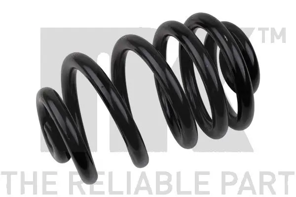 Suspension Spring (543355)