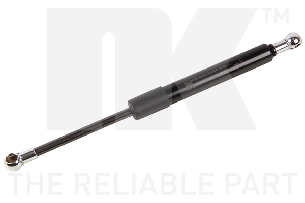 Gas Spring, boot/cargo area (11022012)