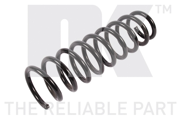 Suspension Spring (543420)