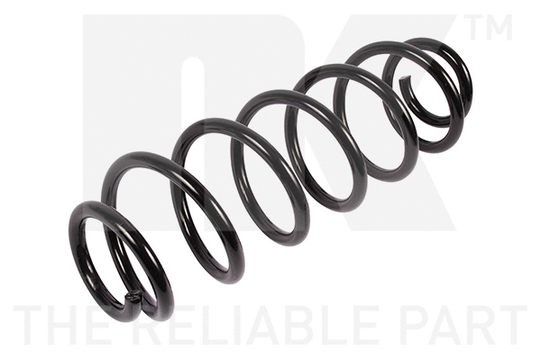 Suspension Spring (542572)
