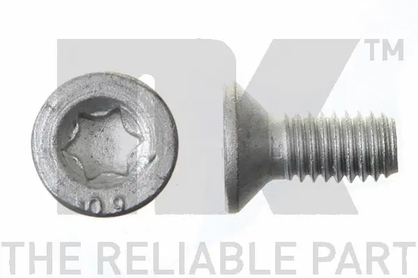 Bolt, brake disc (89011671)