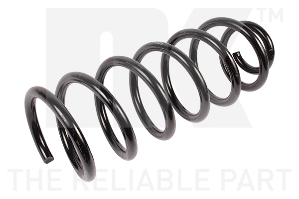 Suspension Spring (541926)