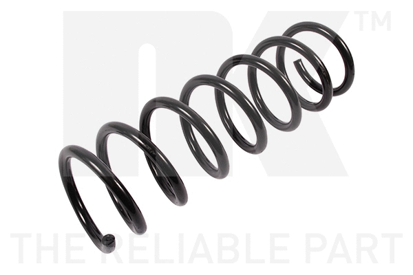 Suspension Spring (542576)